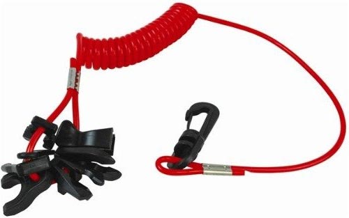 Surveyors are urged to make close inspections to identify weakening of this vital piece of equipment