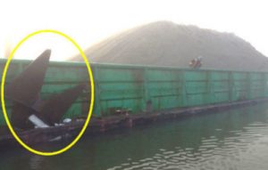 The FRPD 309 sustained damage to the shell plating and forepeak tank forward of the collision bulkhead. In addition, the port anchor was disconnected from its housing and became wedged in the Evco 60's hull