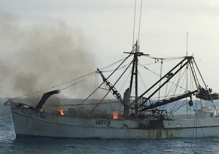 Photo courtesy of Trico Seafood