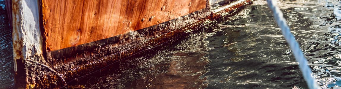 Marine Corrosion Professional Qualification Course Two