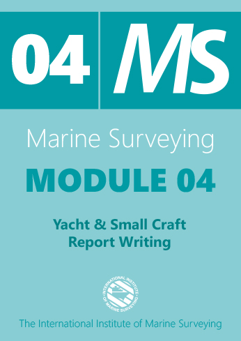 report writing for dummies