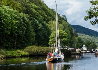 numbers on canals and rivers increase