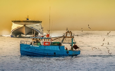 Fish Collisions Guidance on reducing the risk of collisions with fishing vessels - The ...